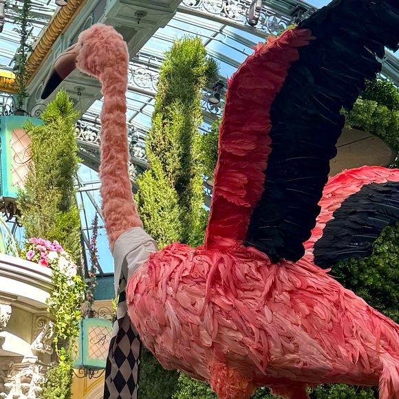 Meet your Posher, C - Picture 1 of 1